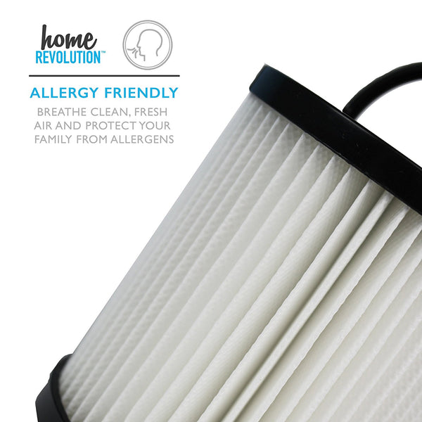 Eureka® DCF-21* Filter | Part #67821